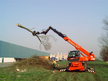 fotos_bomen_rooien_016